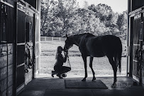 Cyndi Ditsler Photography - Photo 7 - Car repair in Edwardsburg, MI, Elkhart