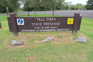 Tall Pines State Preserve image