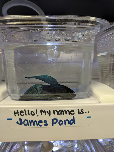 Pet Supply Store «Pet Valu», reviews and photos, 3491 Merchant Boulevard, Abingdon, MD 21009, USA