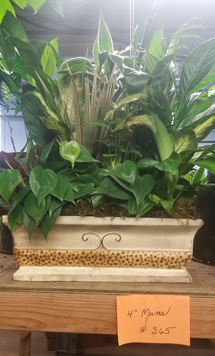 Florist «Sieck-Wright Floral Products», reviews and photos, 231 Monmouth St, Hightstown, NJ 08520, USA