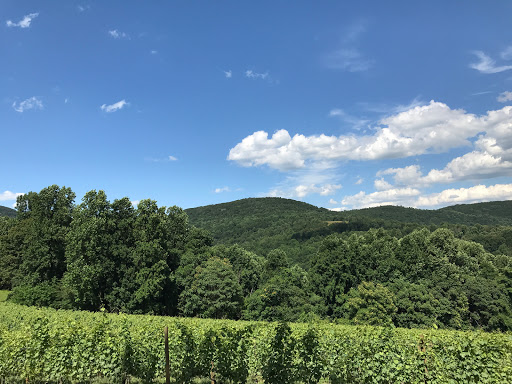 Winery «Chester Gap Cellars», reviews and photos, 4615 Remount Rd, Front Royal, VA 22630, USA