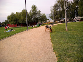 Cancha Chilectra Realcoholicos fc.