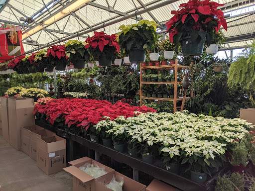 Hardware Store «Proctor Ace Hardware», reviews and photos, 1281 Atlantic Blvd, Neptune Beach, FL 32266, USA