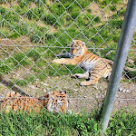 Photo n°1 de l'avis de Heike.� fait le 22/04/2023 à 13:50 sur le  Tier-Erlebnispark Bell à Bell