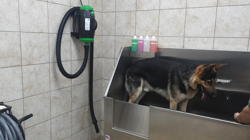 Pet Supply Store «Pet Supplies Plus», reviews and photos, 1012 W Hebron Pkwy #120, Carrollton, TX 75010, USA