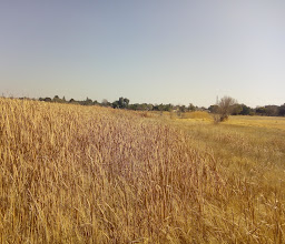 Randfontein Bird Sanctuary photo