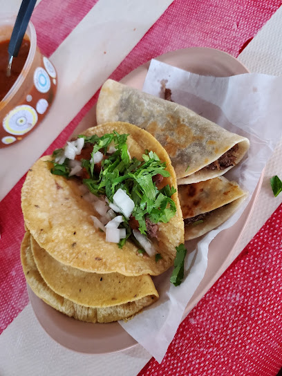 Tacos de Barbacoa Berriozabal