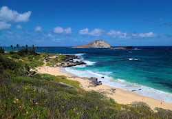 Makapuu Plajı'in fotoğrafı geniş bir kıyı şeridi ile birlikte