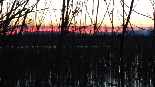 Nature Preserve «Marais Temps Clair Conservation Area», reviews and photos, 5134 Island Road, St Charles, MO 63301, USA