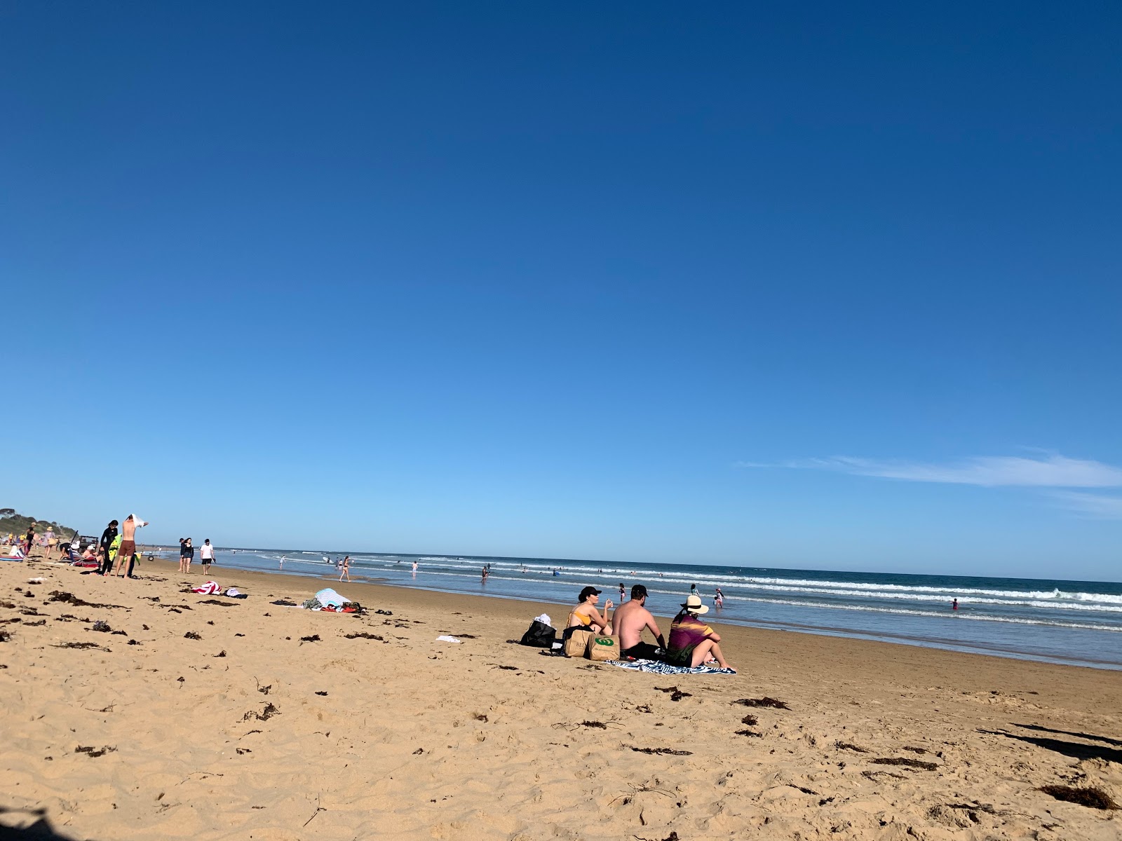 Photo of Anglesea Beach with very clean level of cleanliness