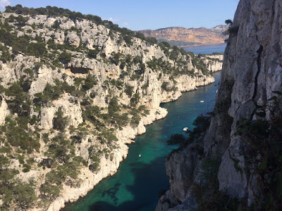 Cassis à Mons-en-Montois