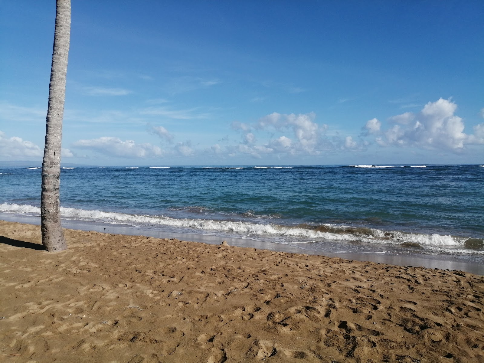 Foto av Playa los Gringos - populär plats bland avkopplingskännare