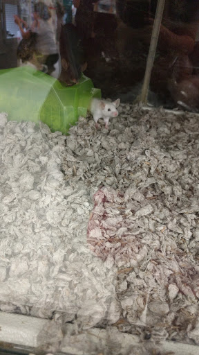 Pet Supply Store «Petco Animal Supplies», reviews and photos, 565 S State St, Westerville, OH 43081, USA