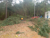 Your tractor guy LLC - Photo 3 - Car repair in , Shreveport