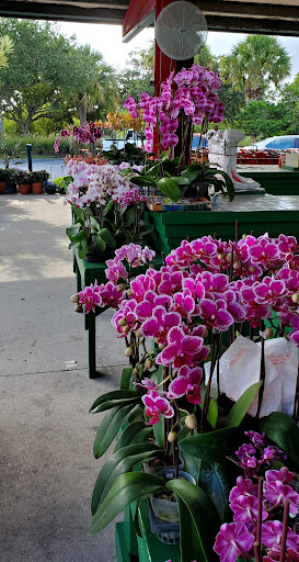Produce Market «Nelson Family Farms», reviews and photos, 875 W Midway Rd, Fort Pierce, FL 34982, USA