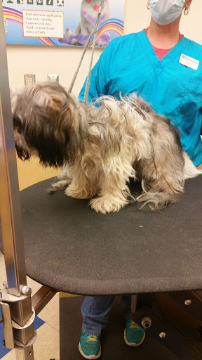 Pet Supply Store «Petsense Middlesboro», reviews and photos, 1875 N 25th St, Middlesboro, KY 40965, USA