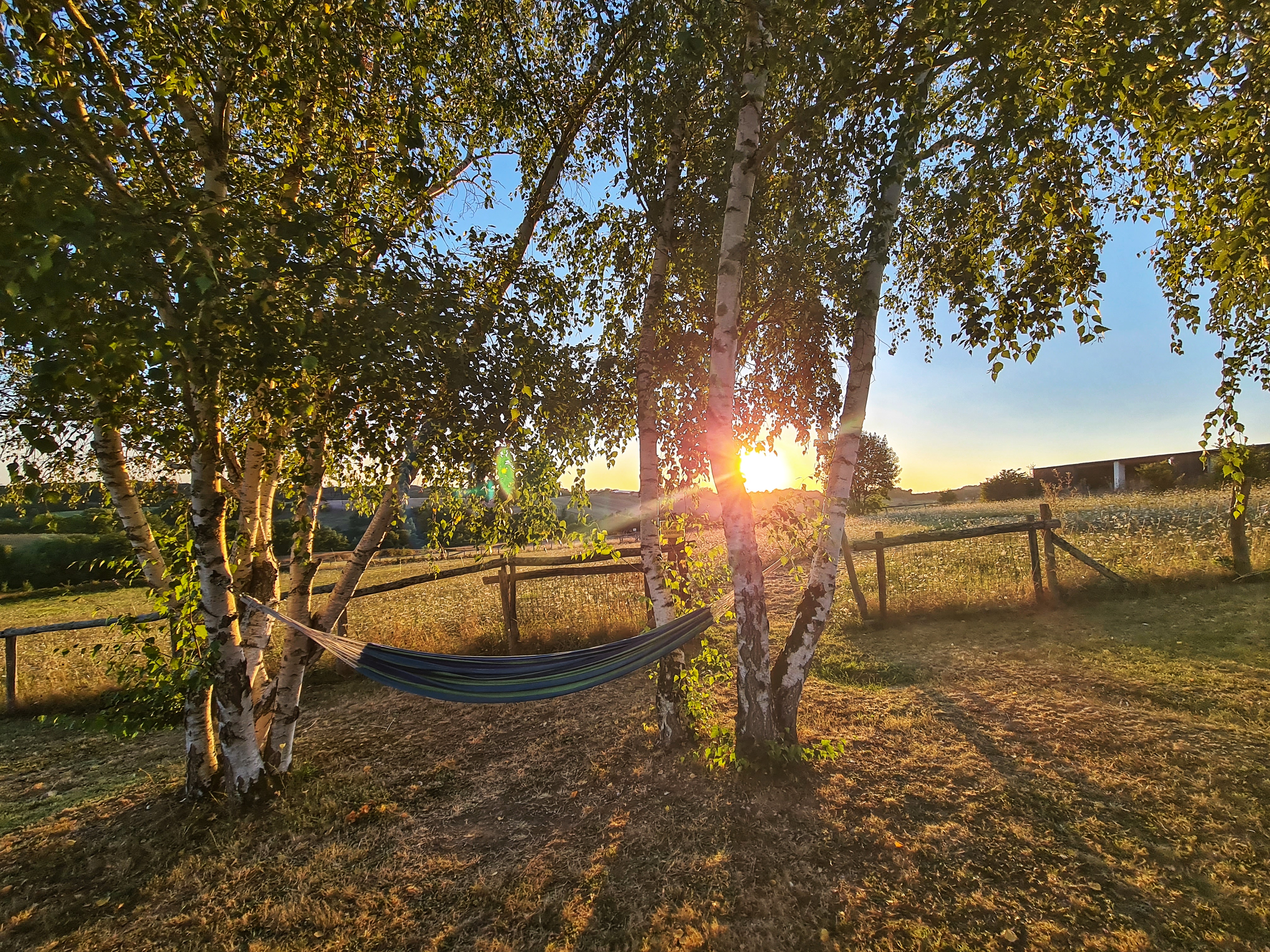 Photo n° 5 de l'avis de wilfried.o fait le 18/08/2023 à 15:48