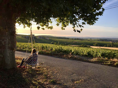 Domaine Lachat à Régnié-Durette