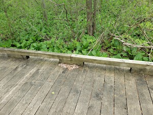 Wixom Habitat - photo 25