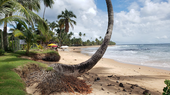 Praia Tres Coqueiros