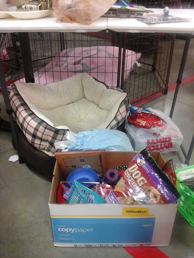 Home Improvement Store «Tractor Supply Co.», reviews and photos, 3000 S Memorial Dr, New Castle, IN 47362, USA