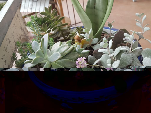 Garden Center «Quality Gardens», reviews and photos, 409 PA-228, Valencia, PA 16059, USA