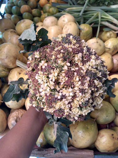 Mercado De Frutas Y Verduras