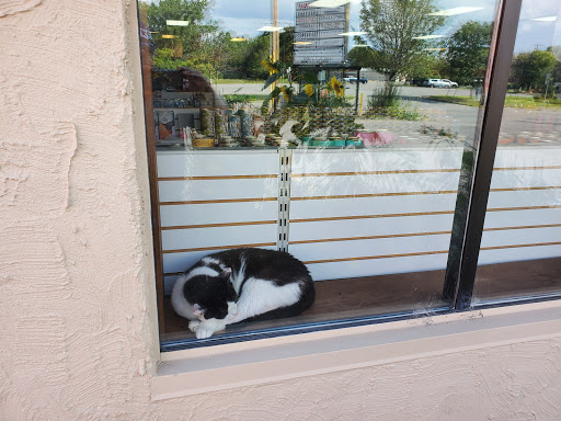 Pet Trainer «Healthy Pet Center», reviews and photos, 154 Delaware Ave, Delmar, NY 12054, USA