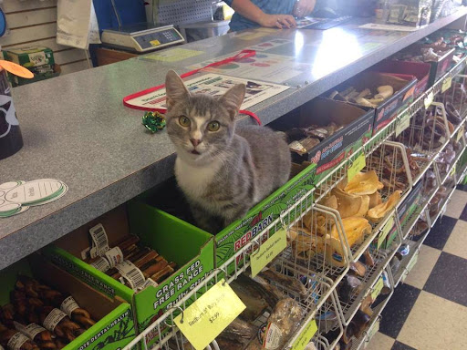 Pet Store «The Pet Place», reviews and photos, 240 Shadowline Dr, Boone, NC 28607, USA