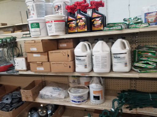 Discount Store «Salvage Discount Store», reviews and photos, 4307 Kernersville Rd, Kernersville, NC 27284, USA