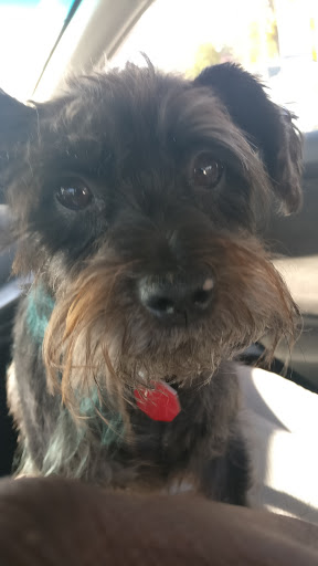 Computer Repair Service «Quick-Tech Computer Repair Services», reviews and photos, 1418 Dixwell Ave, Hamden, CT 06514, USA