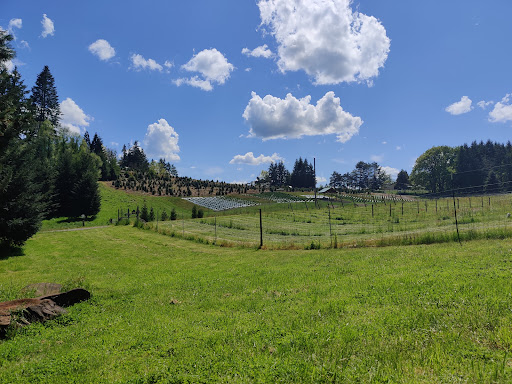 Winery «Helvetia Vineyards & Winery», reviews and photos, 23269 NW Yungen Rd, Hillsboro, OR 97124, USA