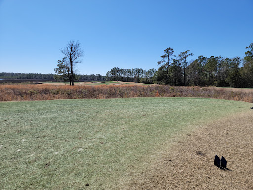 Golf Course «Carolina National Golf Club», reviews and photos, 1643 Goley Hewett Rd SE, Bolivia, NC 28422, USA