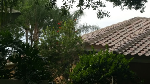 Roofing Contractor «Handyman Roofing», reviews and photos, 11327 43rd St N, Clearwater, FL 33762, USA