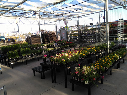 Discount Store «Walmart», reviews and photos, 701 W Princeton Dr, Princeton, TX 75407, USA