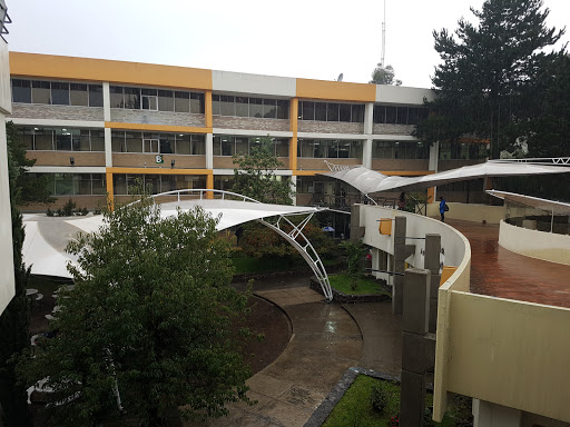 Escuelas diseño modas Toluca de Lerdo