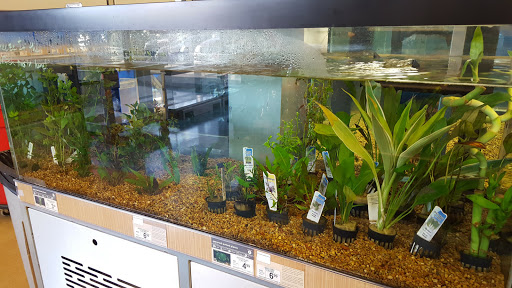 Pet Supply Store «Petco Animal Supplies», reviews and photos, 9078 SE Sunnyside Rd, Clackamas, OR 97015, USA