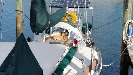 Marina «Fort Pierce City Marina», reviews and photos, 1 Avenue A, Fort Pierce, FL 34950, USA