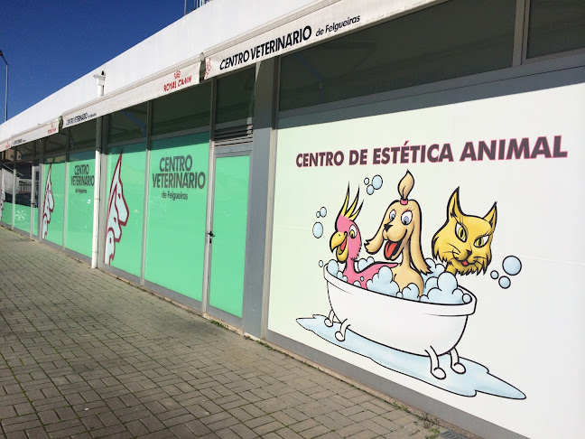 Centro Veterinário de Felgueiras - Albufeira