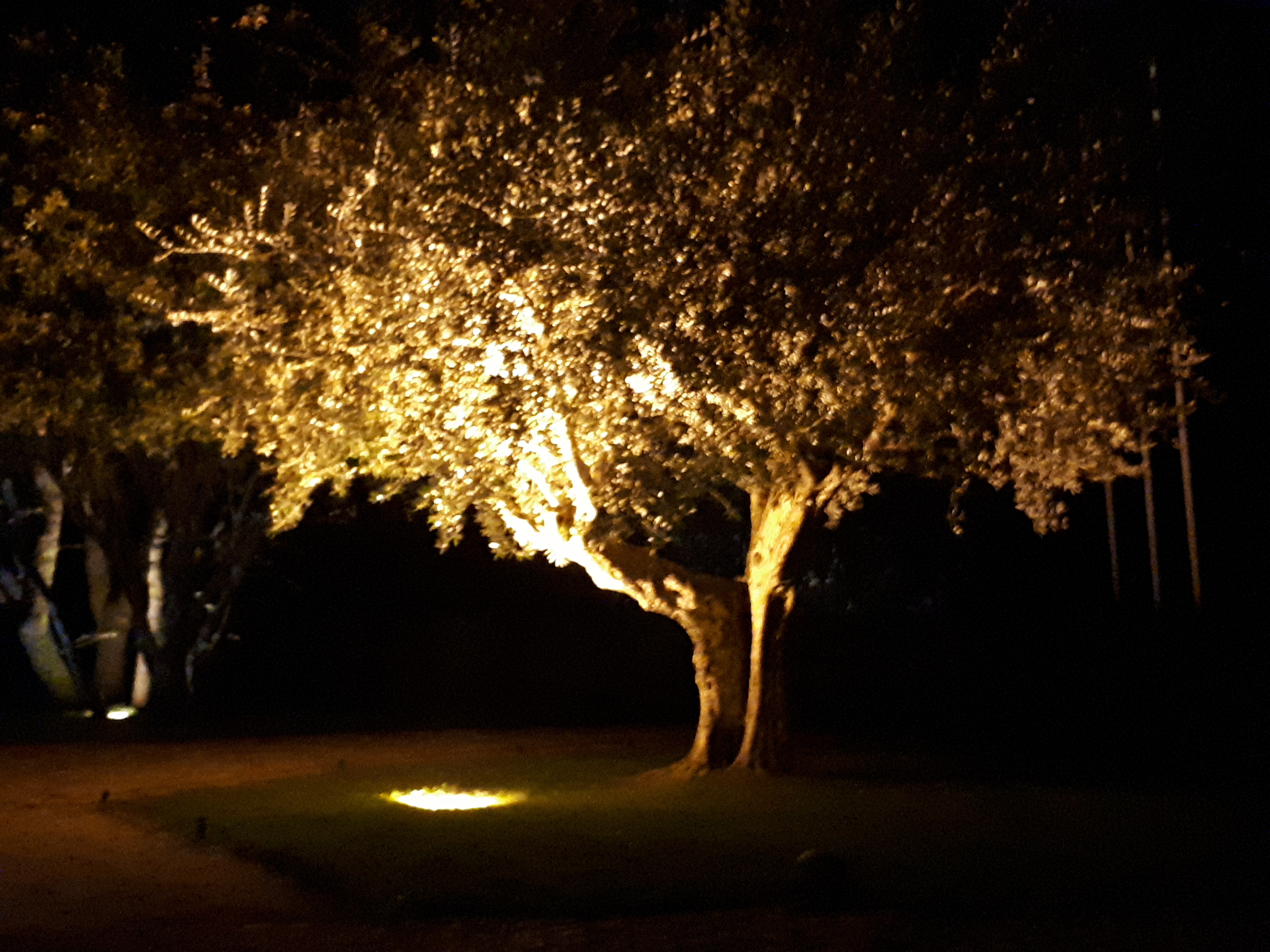 Photo n° 5 de l'avis de Céline.a fait le 28/03/2019 à 16:11