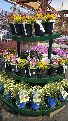 Garden Center «Dees Nursery & Florist», reviews and photos, 69 Atlantic Ave, Oceanside, NY 11572, USA