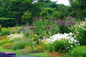 Shinrin Park Urban Arboretum image