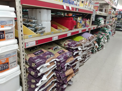 Home Improvement Store «Tractor Supply Co.», reviews and photos, 100 W Ardice Ave #1, Eustis, FL 32726, USA