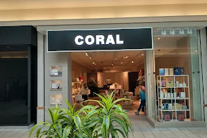 Coral image