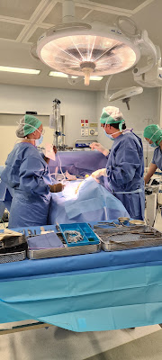 Dr Antoine Videlaine à Cholet