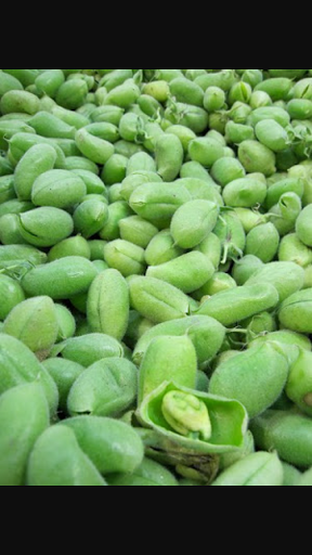 Grocery Store «Tarragon Middle East Market», reviews and photos, 6623 S Dixie Hwy, Miami, FL 33143, USA