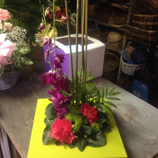 Florist «House of Plants Florist Inc», reviews and photos, 1670 Merriman Rd, Akron, OH 44313, USA