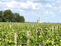 SOC CIVILE DU VIGNOBLE DE CHATEAU LATOUR Pauillac