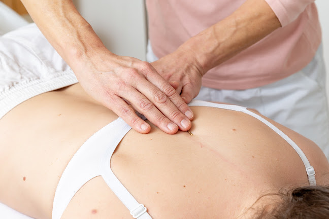 Praxis C. Schaumann für Osteopathie, Craniosacral-Therapie und Akupunkt-Massage - Akupunkteur