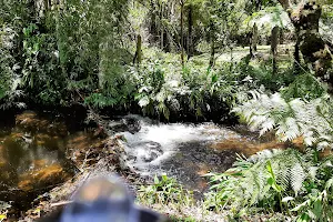 Rapids Park image